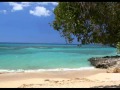 Banana Boat Song ( day-o ) - Harry Belafonte ...