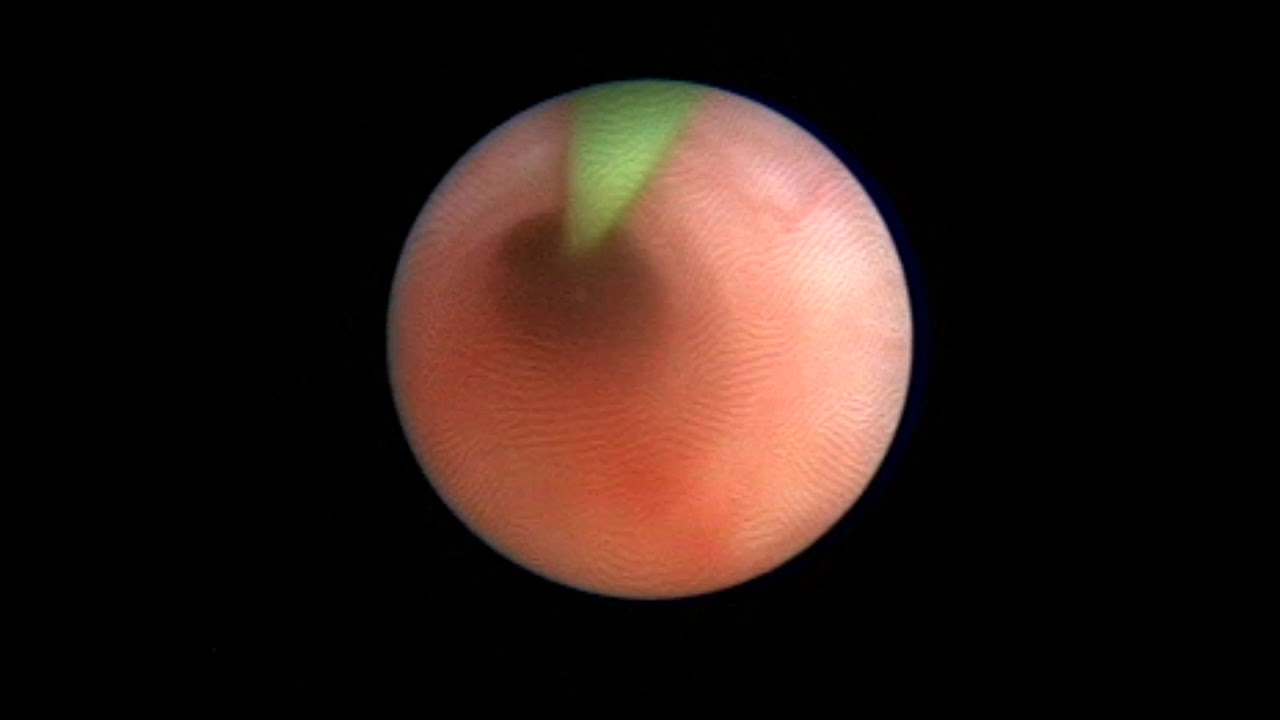 Ernesto Antonio Aboytes Velázquez-8