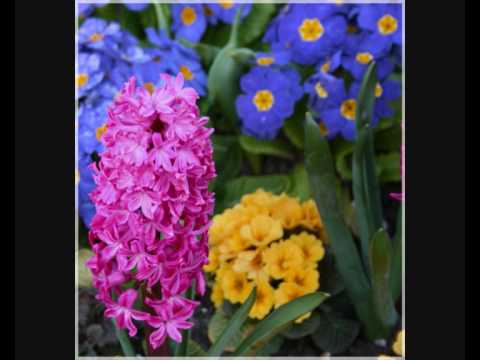 Thumbnail for Keep My Heart video