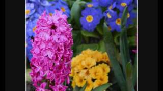 Paul Baloche: Keep my heart