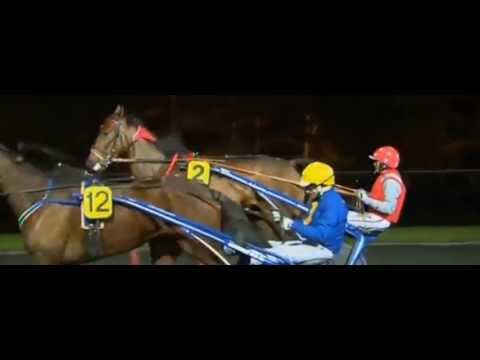 Prix Gaston De Wazieres 2013_Varade D'Hermine 1:12,5_J.M. Bazire
