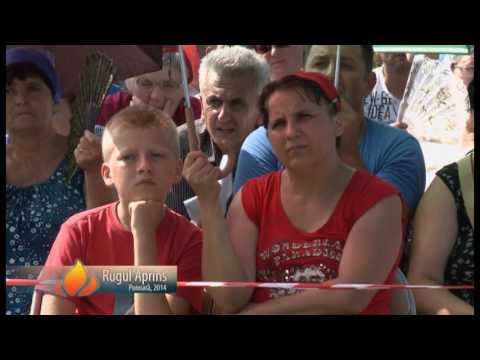 Cornel Urs marturii Ponoarea 2014 ( 1 )