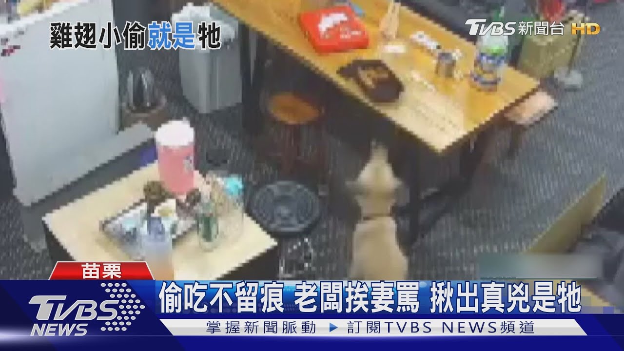 偷吃不留痕 機車行老闆挨妻罵揪出真兇是牠