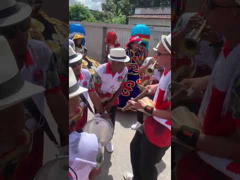 Terno do Maracatu Pavão Dourado de Tracunhaém  - PE Carnaval 2026