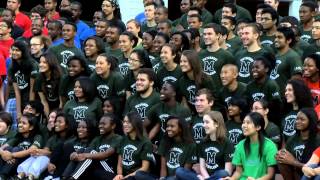Meyerhoff Scholars Program Adaptation Project