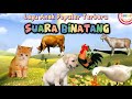 Lagu SUARA BINATANG Lagu Anak Populer Original By ​⁠KBeeb Laguanak