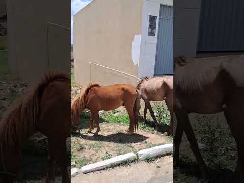 CIDADE MATINHAS paraiba
