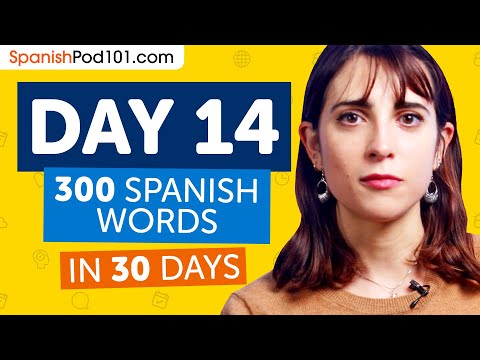 Day 14: 140/300 | Learn 300 Spanish Words in 30 Days Challenge