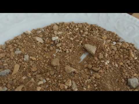 SENDEN SAKLANAN HABERLER SENİ BULACAK İLAHİ ADALET YERİNİ BULUYOR TOPRAK FALI