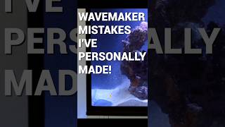 Avoid These 5 Reef Tank Flow Mistakes!