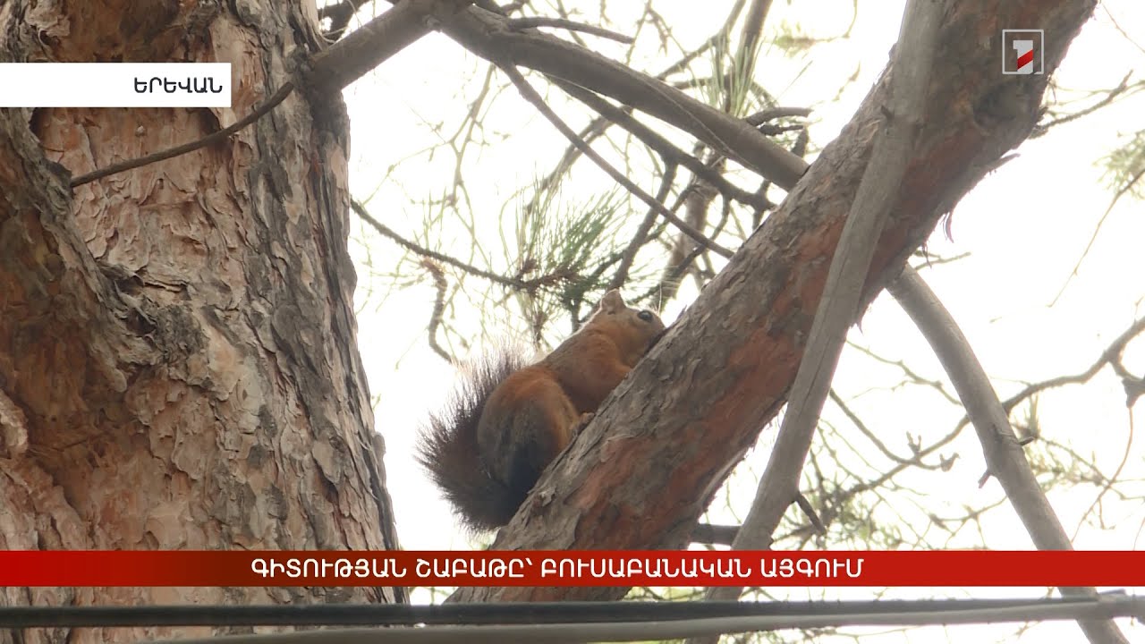 Գիտության շաբաթը՝ բուսաբանական այգում