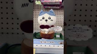 弾き語り ハチワレ【ちいかわ】