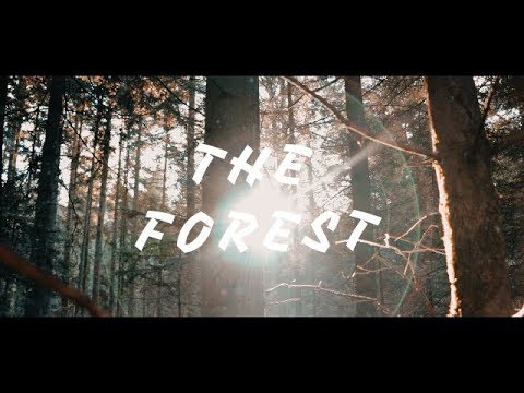 The Forest - Canon 200d/sl2 cinematic video test