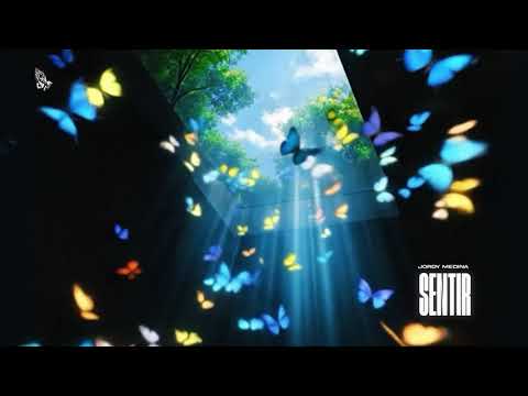 Jordy Medina - SENTIR (Visualizer)