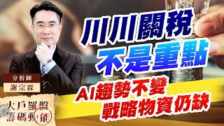 川川關稅不是重點AI趨勢不變 戰略物資仍缺 (圖)