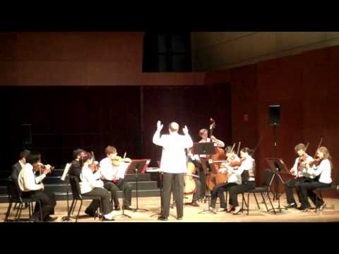 NMH Orchestra  Tudo Bem