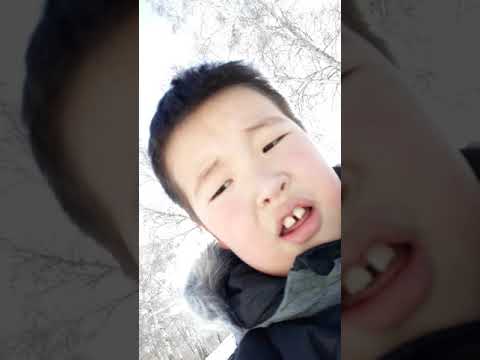 Zia bi odoo bat sumbert irzen musun deer bajiin