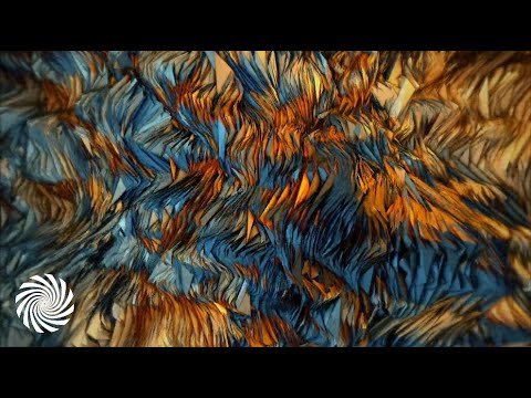 Rastaliens - Hologram [Psychedelic Visuals]