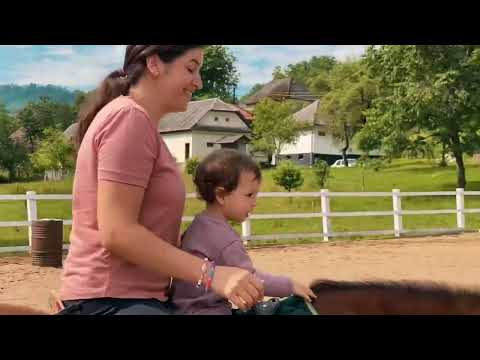 Centrul de echitație - Curtuiușu Mare