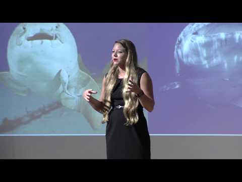 FAU 2018 3MT® Three Minute Thesis Championship  - Sarah Hoffmann