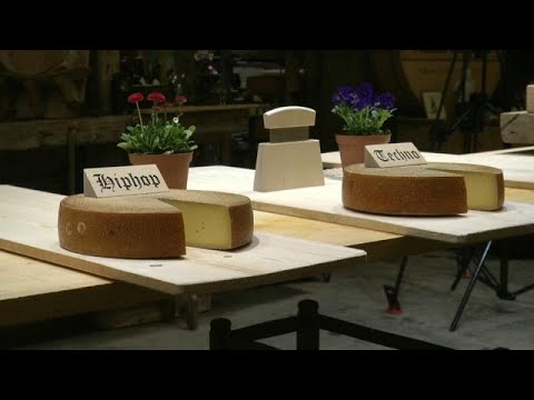 Schweizer Experiment: Ändert Musik den Geschmack von Käse?