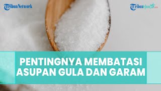 Pentingnya Membatasi Asupan Gula, Garam, dan Lemak, Begini Tanggapan Ahli Gizi