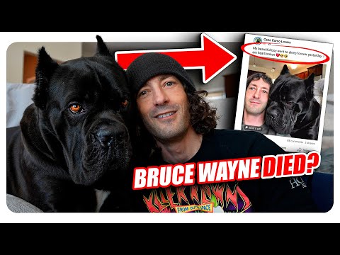 Bruce Wayne Cane Corso