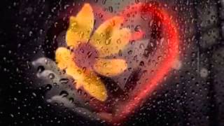 Mina  La voce del silenzio