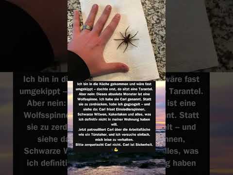 NextLevel Leben and Did you know 