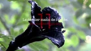 Official Music Video - 'Am Letzen' - Marianne Dissard - Album 'The Cat. Not Me' (2014)