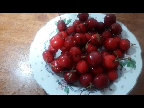 اسرع طريقه بالعالم لتفريغ الكرز من البذور طريقه ذكيه وسريعه مع المحافظه على شكله