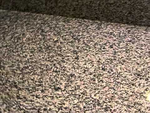 Super 8 Savannah - Room Review