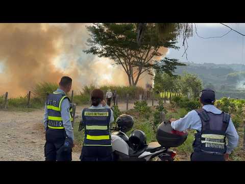 Incendio Forestal en Limones vía Caicedonia - Sevilla