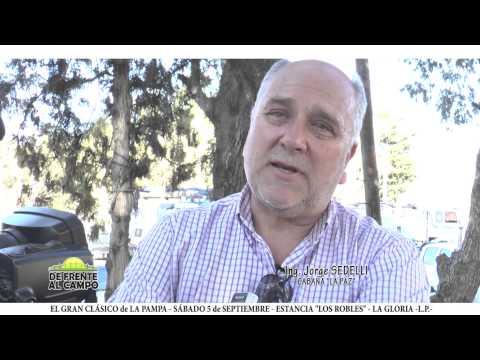 DE FRENTE AL CAMPO junto a CABAÑA "LA PAZ"