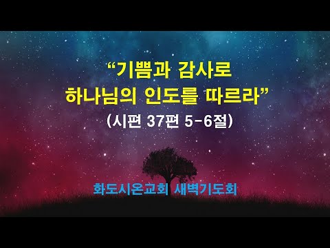 (다윗의 잠언 11) 기쁨과 감사로 하나님의 인도를 따르라