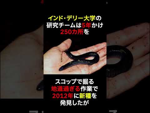 環形動物について詳しく解説