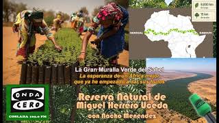 Miniatura de YouTube para: La Gran Muralla Verde del Sahel