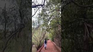 Download lagu A travel diary of memories and lots of travel fun. Come visit this Bird Sanctuary on an island 🏝 goa mp3