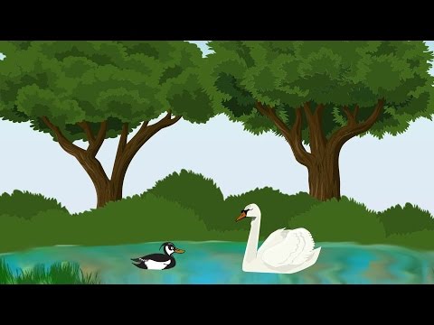 Птицы. Развивающие мультики. Энциклопедия для детей