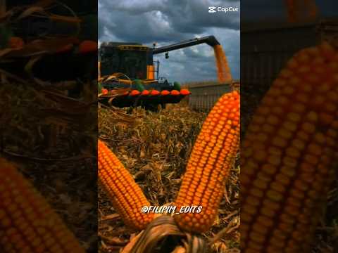 chamaaa #agriculture #agro #agronomia #trator #colhedeira #tbt #newholland #colheita