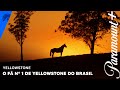 Caramellowstone Yellowstone Paramount Plus Brasil