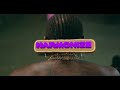 Harmonize ushamba  (Official video)