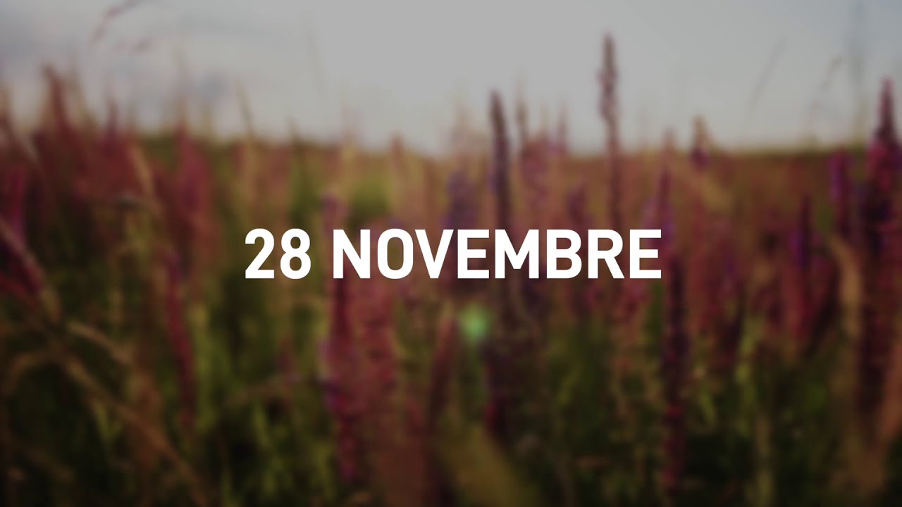 28 Novembre 2025 | Meditazione Parole di Vita