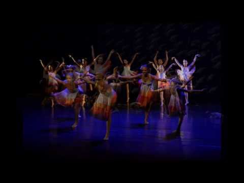 The Pink Flamingos Day - Mezinárodní baletní galakoncert 2013