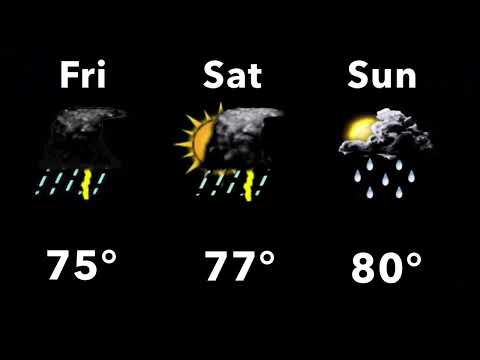 November 2011 Daypart 16