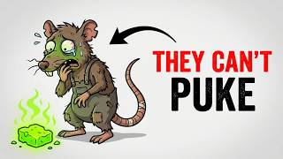The Terrifying Reason Rats Can't Vomit