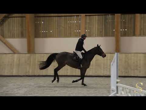 LOLA GOLD SEMILLY