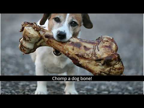 north korea propaganda music but with misheard lyrics