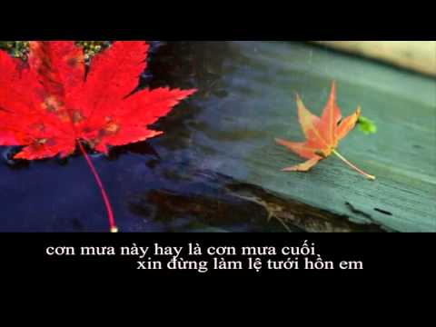 Cơn mưa cuối - Mây Tím