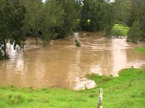 Old Bonalbo creek in flood